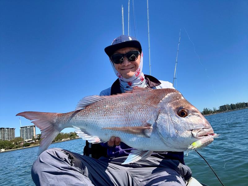 Already proven on inshore snapper elsewhere, the 90mm Barambah Stinger Shrimp HD is perfectly weighted for our waters and bound to be a hit - photo © Fisho's Tackle World Hervey Bay
