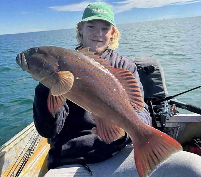 If only the weather would play the game again, then you could get out and catch trout like this one of Jessie's - photo © Fisho's Tackle World Hervey Bay