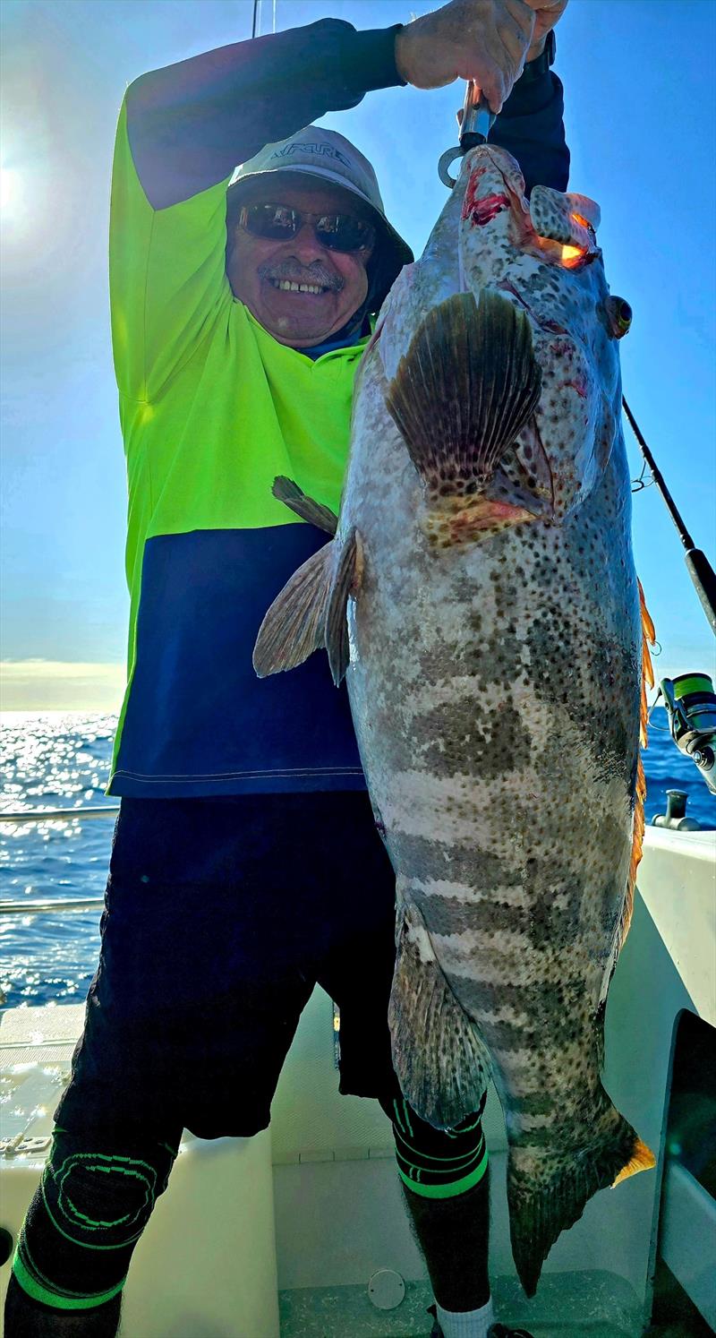 Big estuary cod are still fairly common on some of our reefs. This Hot Reels client worked up a sweat raising this chunky model - photo © Fisho's Tackle World Hervey Bay