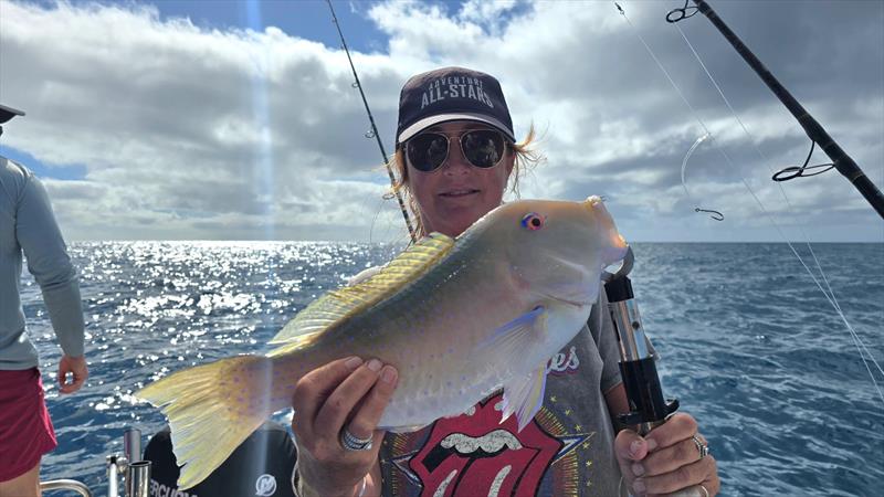 Tuskies are just one of the many reef fish species you can catch from the northern bay and offshore waters - photo © Fisho's Tackle World Hervey Bay