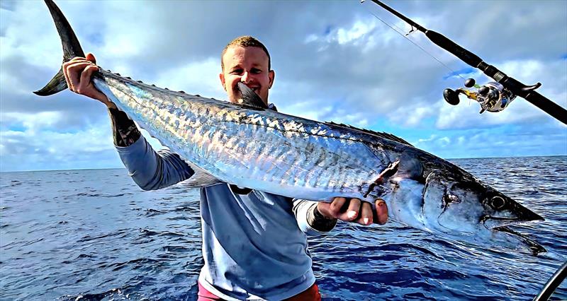 Joey hitched a ride on a Hot Reels Charter and had fun with the northern bay's spaniard population - photo © Fisho's Tackle World Hervey Bay