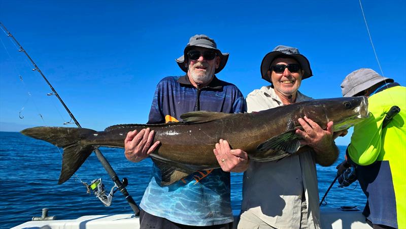 You know you've got a big cobia when you need your mate to help you hold it. Another victim of a Hot Reels Charter - photo © Fisho's Tackle World Hervey Bay
