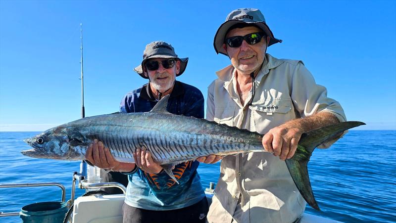 Spanish, spanish and more spanish. Jump on board a Hot Reels Charter if these speedsters are on your wish list - photo © Fisho's Tackle World Hervey Bay