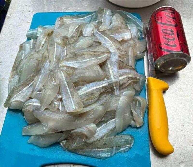 The end result of a session on Hervey Bay's winter whiting. Succulent little whiting fillets that the whole family will enjoy - photo © Fisho's Tackle World Hervey Bay