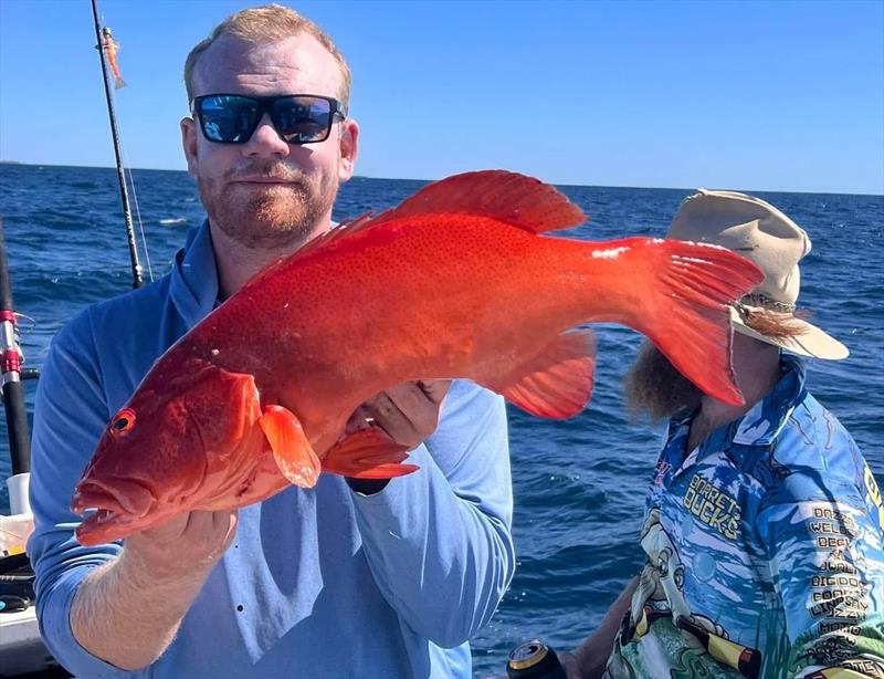 Andrew's family continues to dine on fresh seafood and no-one is complaining when it is coral trout on the menu - photo © Fisho's Tackle World Hervey Bay
