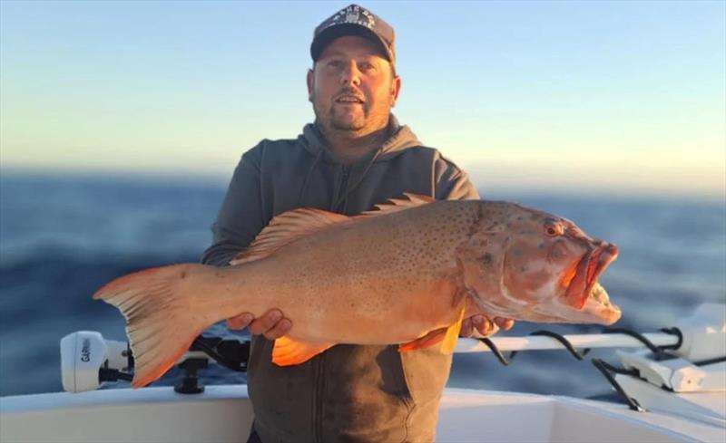 Nathan Bauer caught this chunky bar-cheek during a recent spell of good weather - photo © Fisho's Tackle World Hervey Bay