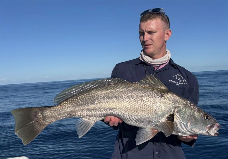 Harry Railz with a beaut jewie caught recently. Jewies are a good target for those of you looking for something other than snapper during the closure - photo © Fisho's Tackle World Hervey Bay
