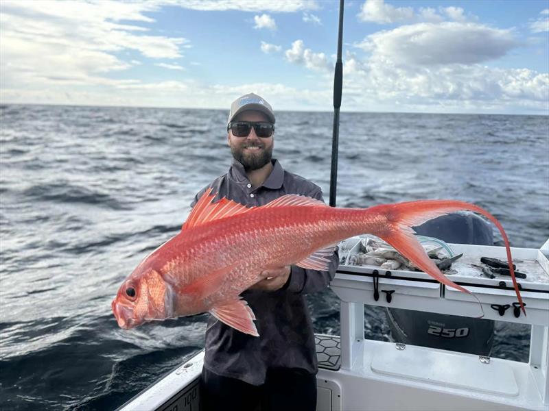 Better-quality flamies can be found along the shelf line. You just need the discipline to drive away from lesser models - photo © Fisho's Tackle World Hervey Bay