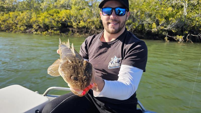 Dan spent a day with Jacko testing the swanky new Nomad Live Ops plastics. The Jerksquid was an instant success with the flatties photo copyright Fisho's Tackle World Hervey Bay taken at  and featuring the Fishing boat class