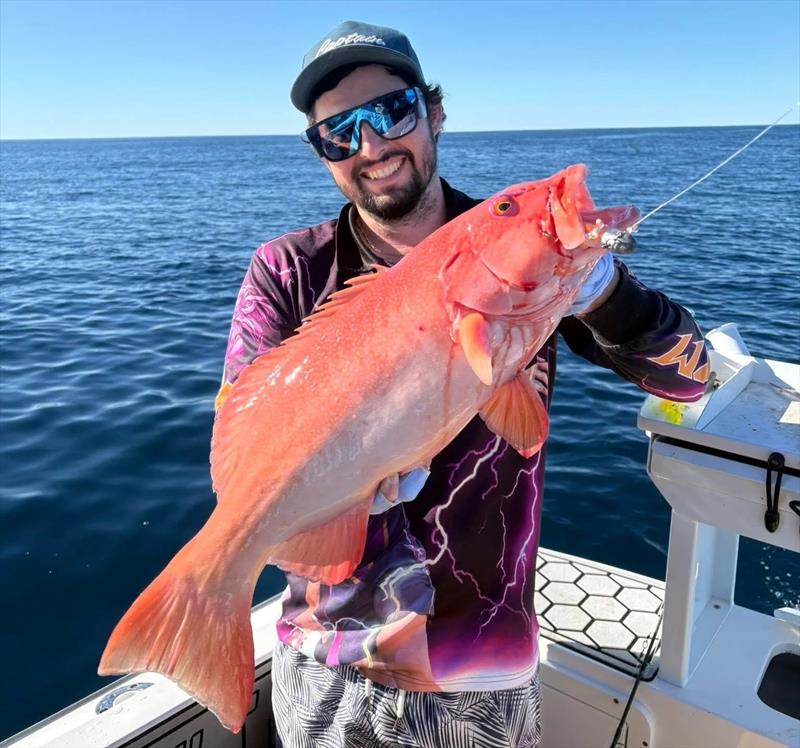Chris tempted this lovely trout with the stock-standard heavy jighead-rigged Samaki Live Shrimp - photo © Fisho's Tackle World Hervey Bay
