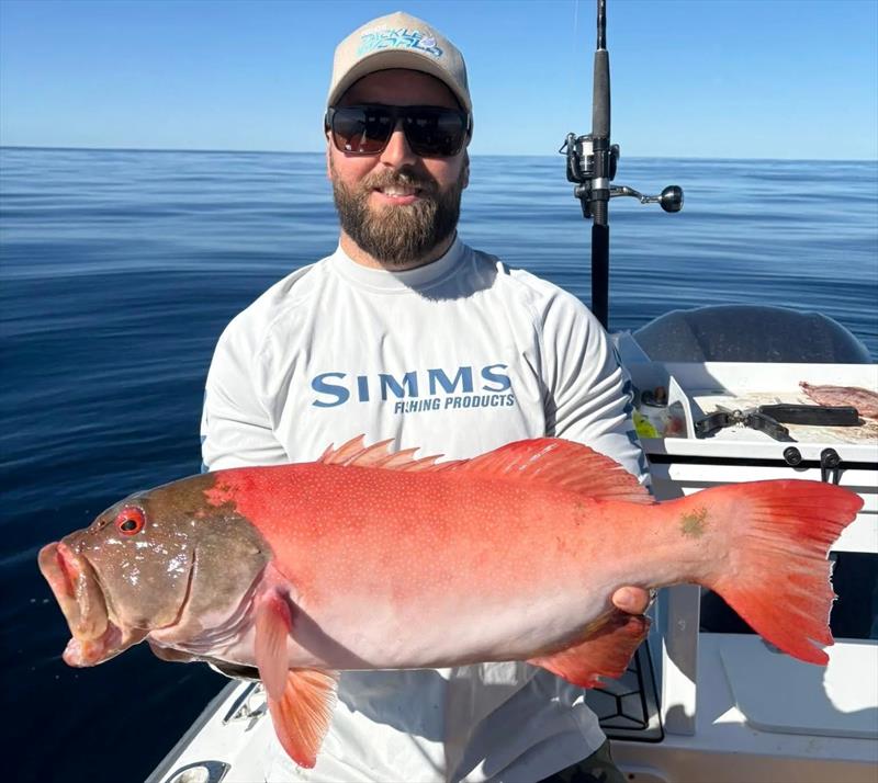 Aedan and crew put some fine coral trout on board on their latest trip out wide photo copyright Fisho's Tackle World Hervey Bay taken at  and featuring the Fishing boat class