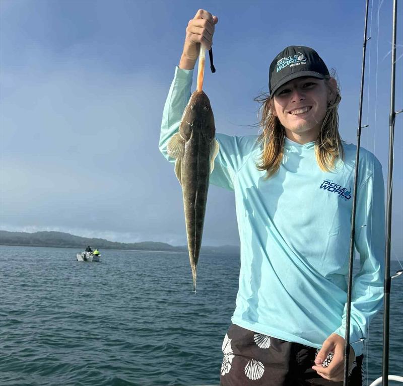 Flathead of all sizes are biting all over the place in Hervey Bay and Great Sandy Straits waters - photo © Fisho's Tackle World Hervey Bay
