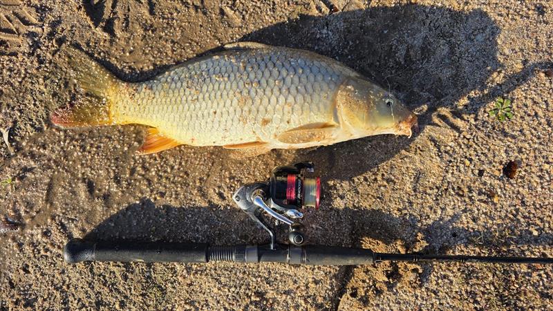 Trelly's Weekly Fishing Report - August 06, 2025 photo copyright Trellys taken at  and featuring the Fishing boat class