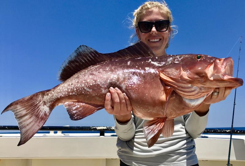 Anglers in the Gulf of America will have an extended 2025 season and increased catch limit with the publication of a new emergency rule photo copyright Hubbard’s Marina taken at  and featuring the Fishing boat class