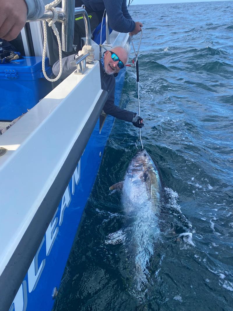 UK Bluefin Tuna “Catch & Release” Championships photo copyright Tim Macpherson taken at  and featuring the Fishing boat class