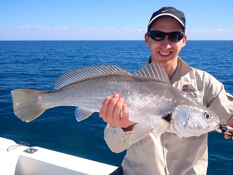 Jewies are prolific in so many locations in the bay and the straits. Fraser Guided Fishing clients catch and release a few like this one - photo © Fisho's Tackle World Hervey Bay