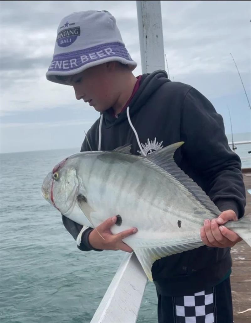 Noah releasing a goldie at the pier a couple of weeks ago - photo © Fisho's Tackle World Hervey Bay