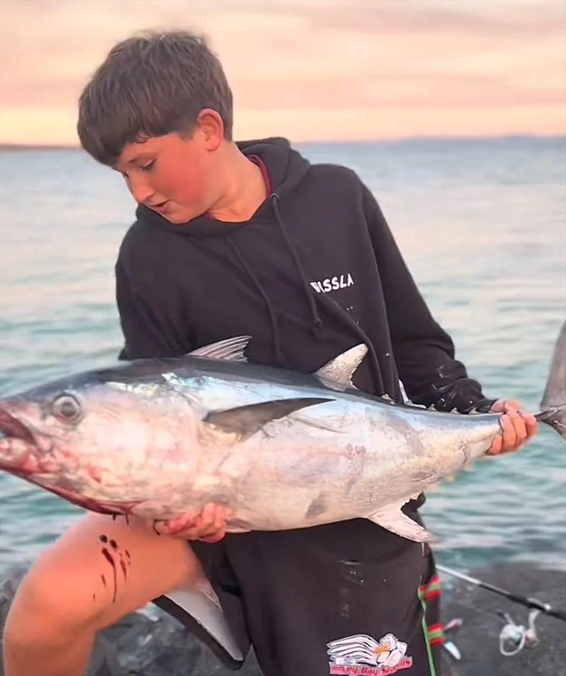 Noah Visentin caught this impressive longtail from the Urangan Harbour rock wall recently - photo © Fisho's Tackle World Hervey Bay