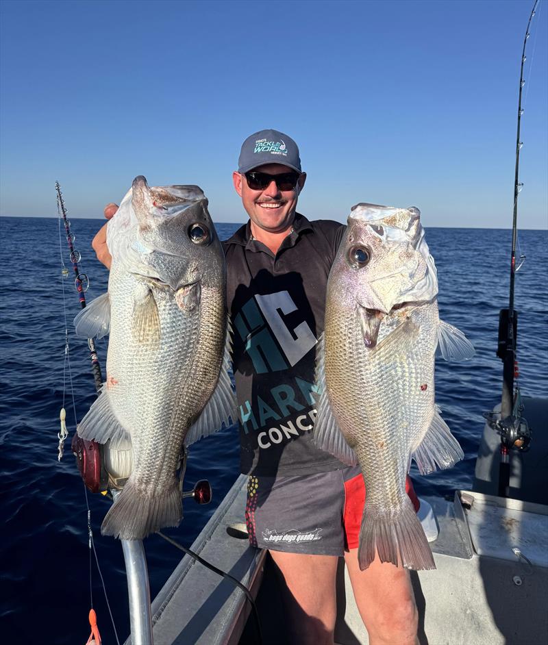 Gotta be happy with pearlies this big when deep dropping, eh Gary - photo © Fisho's Tackle World Hervey Bay 