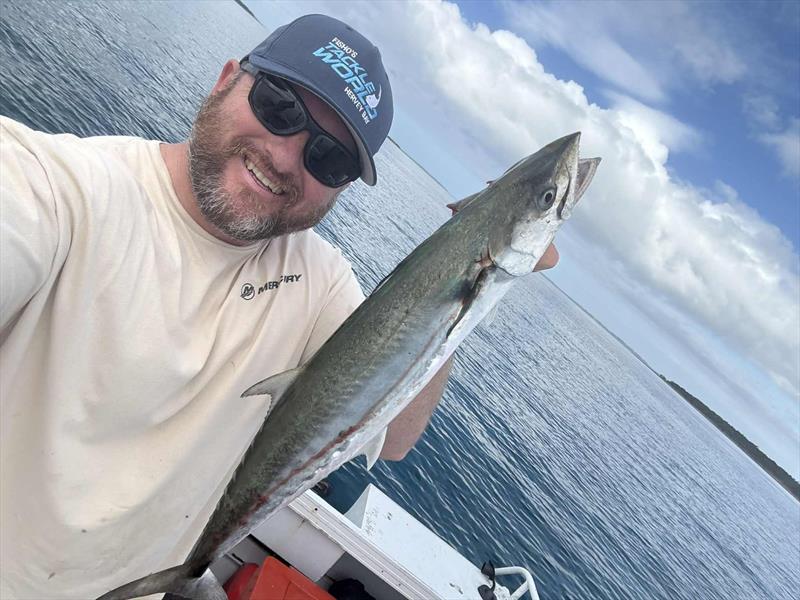 Stuart found the schoolies over towards Fraser Island. Their numbers are swelling and they will be great targets for the kids photo copyright Fisho's Tackle World Hervey Bay taken at  and featuring the Fishing boat class