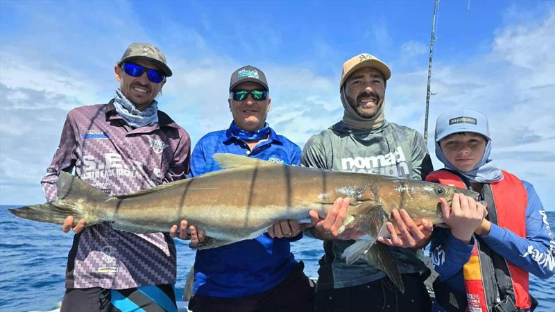 A multi-client cobia cuddle on a recent Hot Reels Charter photo copyright Fisho's Tackle World Hervey Bay taken at  and featuring the Fishing boat class
