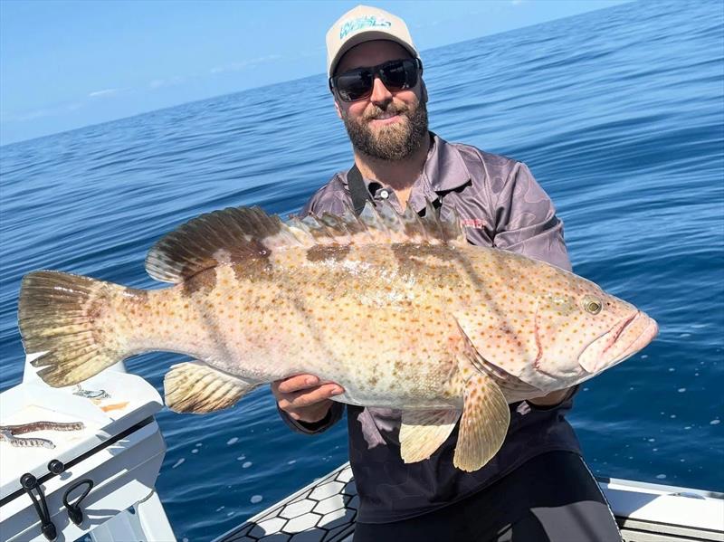 Large estuary cod abound in the waters of the bay and beyond photo copyright Fisho's Tackle World Hervey Bay taken at  and featuring the Fishing boat class