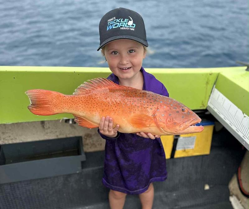 Little Miss McGuire showing part of the spoils of a recent Gutters trip with mum and dad photo copyright Fisho's Tackle World Hervey Bay taken at  and featuring the Fishing boat class