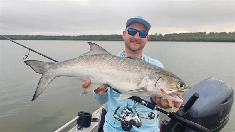 Jacko put the Zman Prawnz Elite in front of this blue salmon and the bite was instantaneous photo copyright Fisho's Tackle World Hervey Bay taken at  and featuring the Fishing boat class