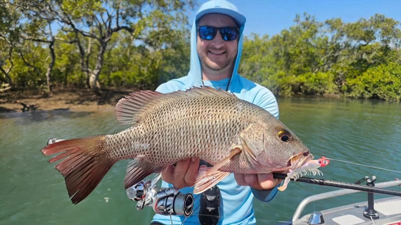 The new Zman Prawnz Elite was too tempting for this fine jack for Jacko photo copyright Fisho's Tackle World Hervey Bay taken at  and featuring the Fishing boat class