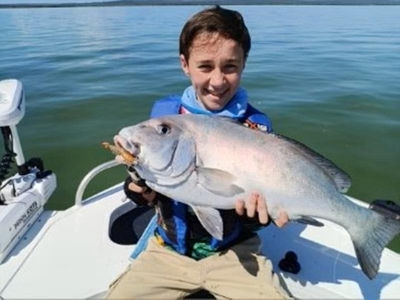Huntah's painted sweetlip sight-fished on a Nomad Live Ops Switcher Shrimp. An impressive fighter caught in the most impressive way - well done photo copyright Fisho's Tackle World Hervey Bay taken at  and featuring the Fishing boat class