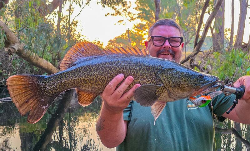Murray cod