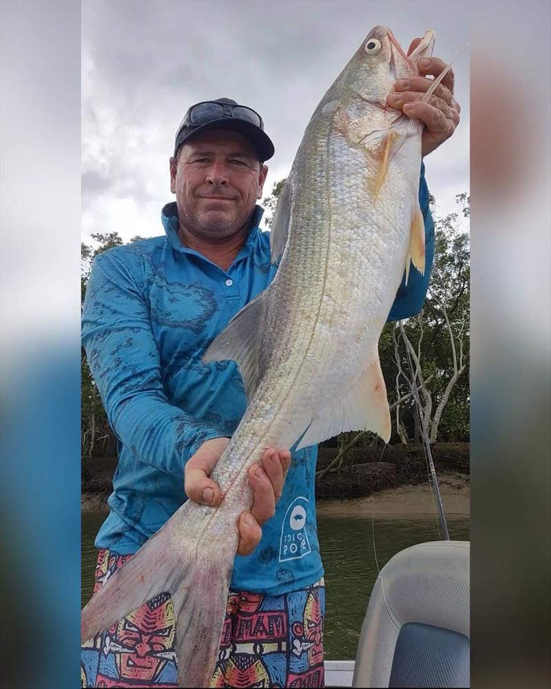 Matt has been getting amongst the threadies lately. They will be a great target species this week - photo © Fisho's Tackle World Hervey Bay