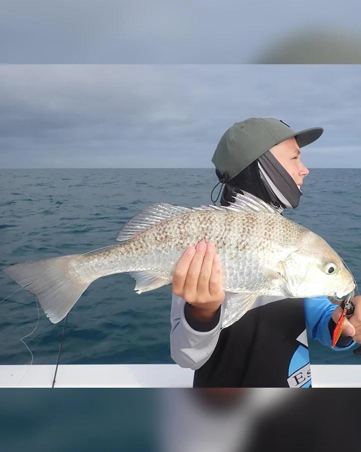'What's that over there' - Fraser Guided Fishing clients are easily distracted when there is action aplenty on bay charters - photo © Fisho's Tackle World Hervey Bay 