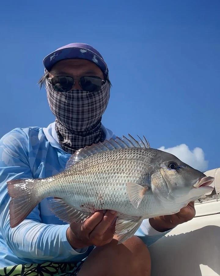 Grassy sweetlip are abundant inshore at present, and will be until winter arrives - photo © Fisho's Tackle World Hervey Bay 