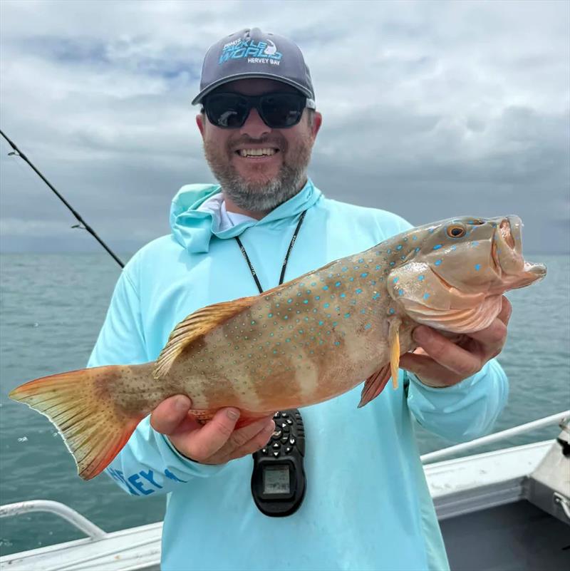 Coral trout for the missus' dinner again, eh Stuart - photo © Fisho's Tackle World Hervey Bay