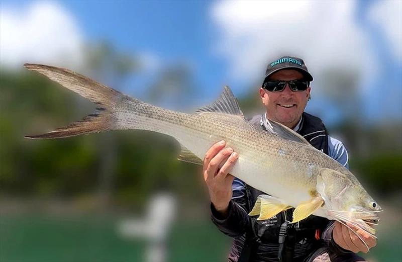 Threadfin salmon are plentiful in various locations down the straits, in the Burrum system and also the Mary - photo © Fisho's Tackle World Hervey Bay