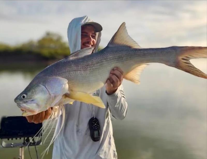 Threadies are a primary target for Joe when fishing the straits, whilst river fishos can catch plenty at present too - photo © Fisho's Tackle World Hervey Bay