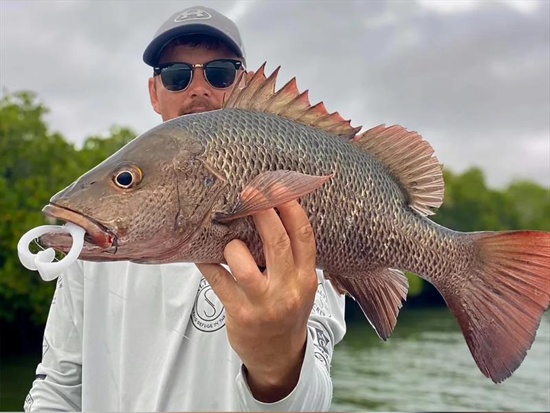 This frog-munching jack was just one of many Joe has subdued in the marvellous Great Sandy Straits fishery - photo © Fisho's Tackle World Hervey Bay