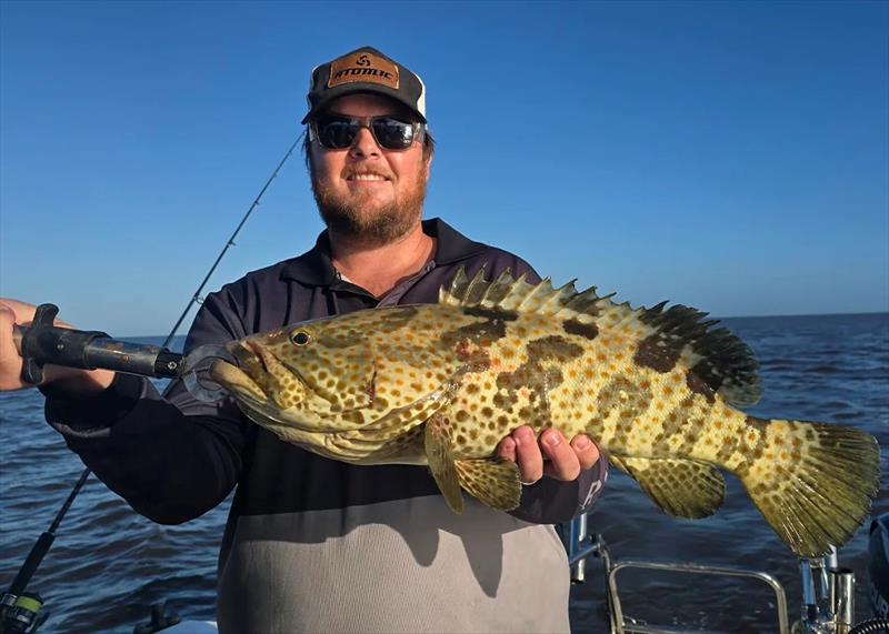 Estuary cod will revel in these post-flood conditions. This fish was caught on a Hot Reels charter inshore - photo © Fisho's Tackle World Hervey Bay