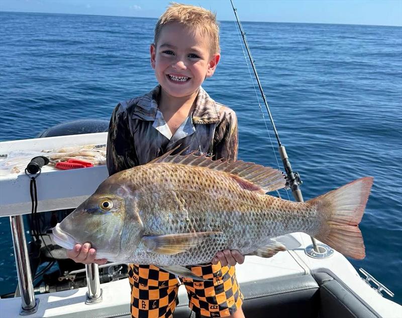 Koa with a thumping big grassy sweetlip from his latest trip out wide with the family - photo © Fisho's Tackle World Hervey Bay