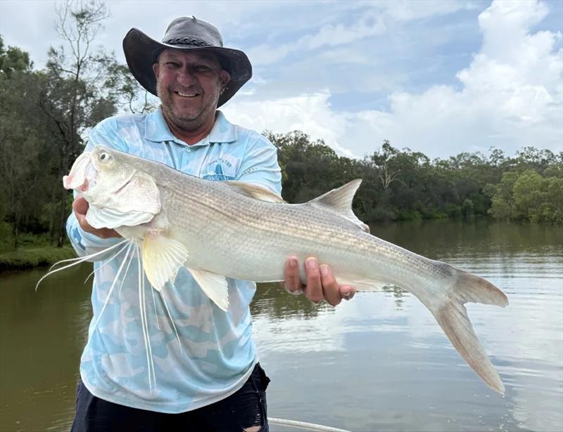 Shane has been catching threadies pre-flood, so will have to move downstream to find them again now - photo © Fisho's Tackle World Hervey Bay