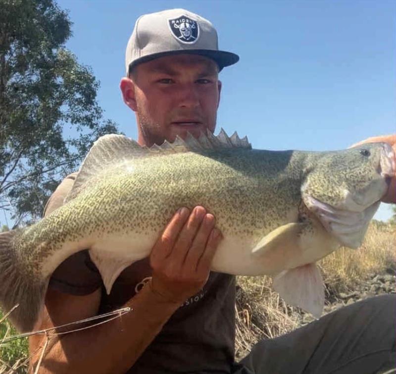 Trelly's Weekly Fishing Report - April 3, 2026 photo copyright Trelly's taken at  and featuring the Fishing boat class