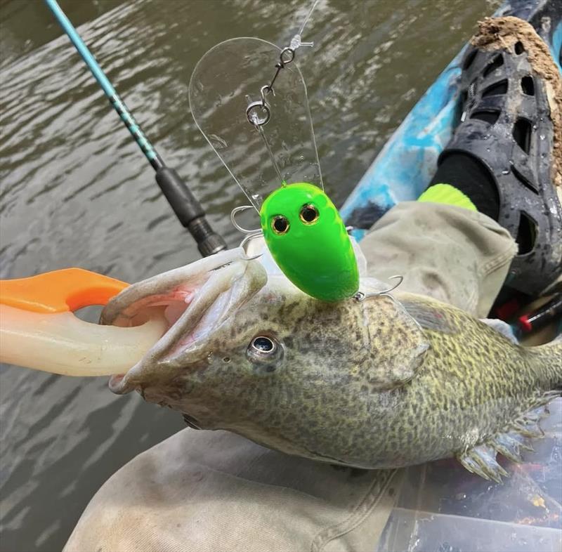 Trelly's Weekly Fishing Report - April 3, 2026 - photo © Trelly's