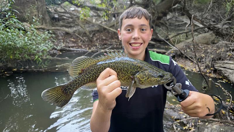 Murray cod photo copyright Trellys taken at  and featuring the Fishing boat class