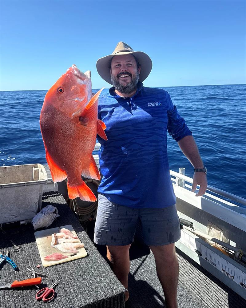 A plump red like this helped Paul justify the fuel burnt to get offshore photo copyright Fisho's Tackle World Hervey Bay taken at  and featuring the Fishing boat class