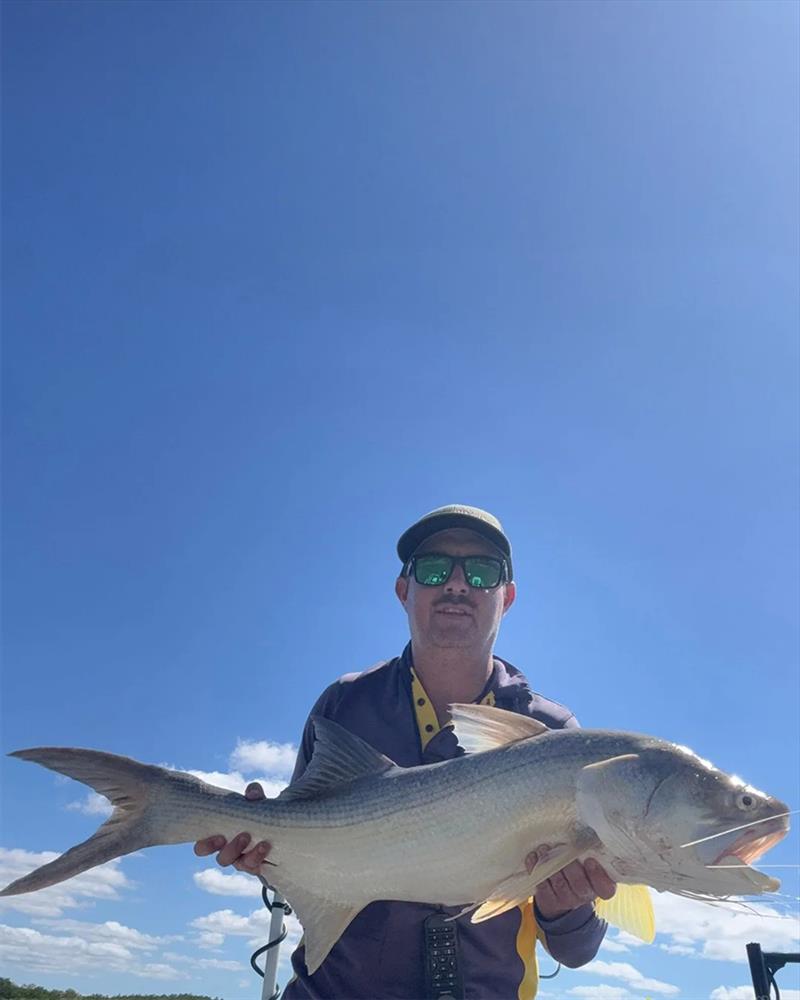 Catching threadies like this beauty of Deej's is an easy affair right now. They are widespread, on the move and feeding hard photo copyright Fisho's Tackle World Hervey Bay taken at  and featuring the Fishing boat class