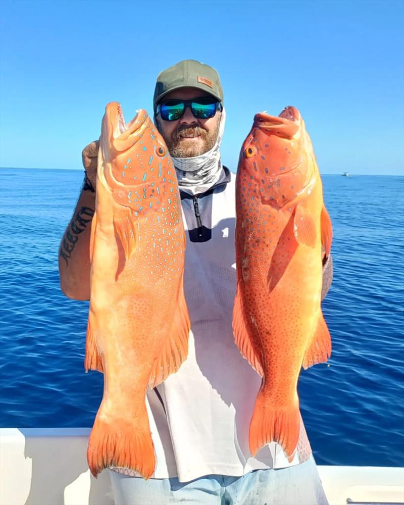 Nathan pulled this brace of bar cheeks from a rare piece of sharkless ground in the northern bay photo copyright Fisho's Tackle World Hervey Bay taken at  and featuring the Fishing boat class