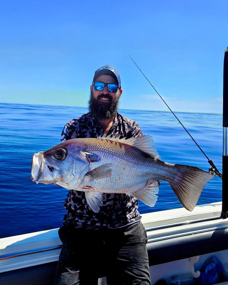 Adrian hauled ripper pearlies like this from the depths on a recent offshore mission photo copyright Fisho's Tackle World Hervey Bay taken at  and featuring the Fishing boat class