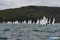 Allen Flying 11 NSW State Championship © Mel Yeomans