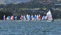 © Mel Yeomans at Deck Hardware / Australian Flying 11 Association